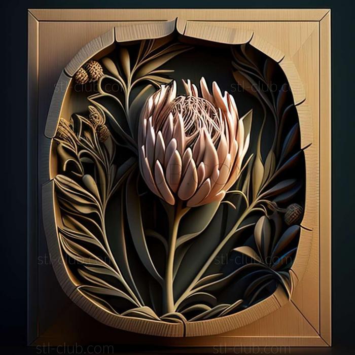 Protea